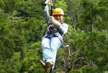 Canopy Tour 